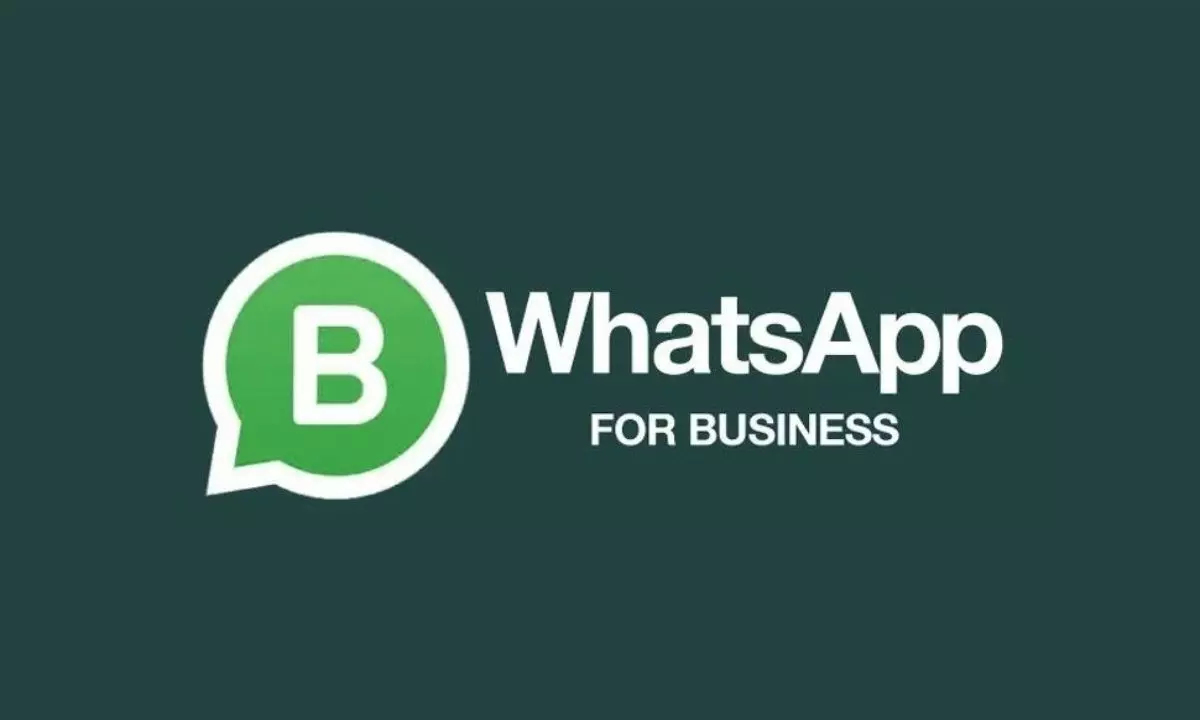 WhatsApp Business MOD APK